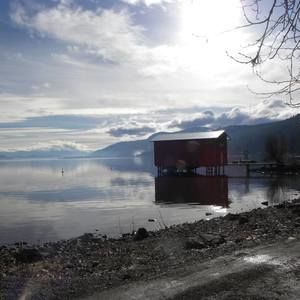 Meet your Posher, Dee